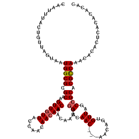 secondary structure