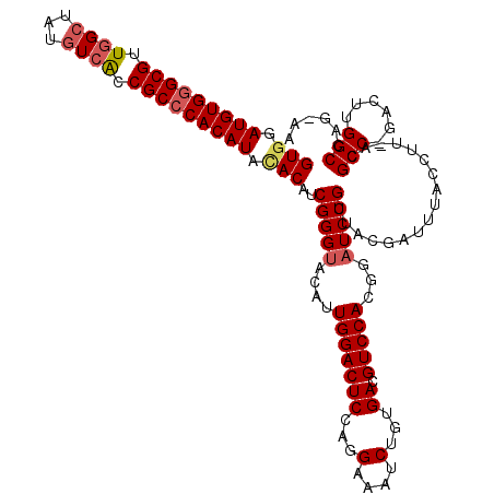 secondary structure