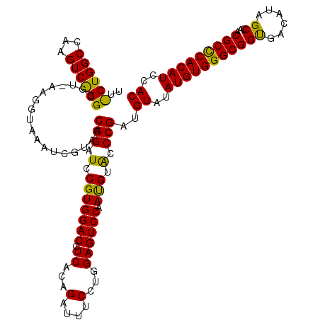 secondary structure