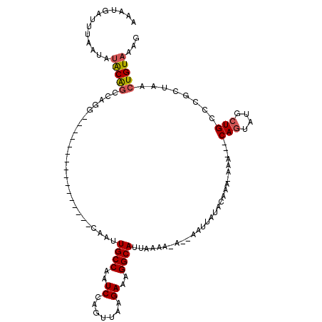 secondary structure
