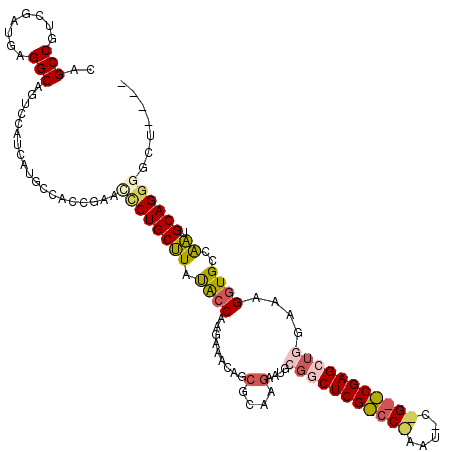 secondary structure