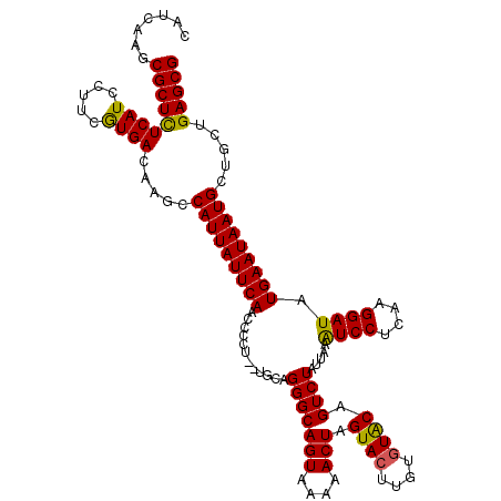 secondary structure