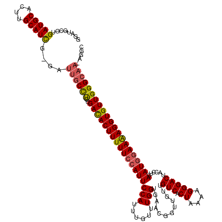 secondary structure
