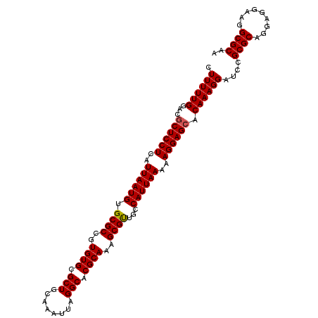 secondary structure