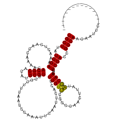 secondary structure