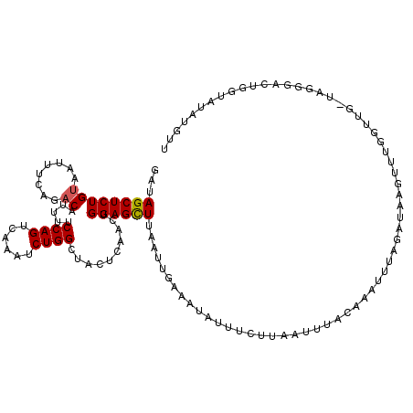 secondary structure
