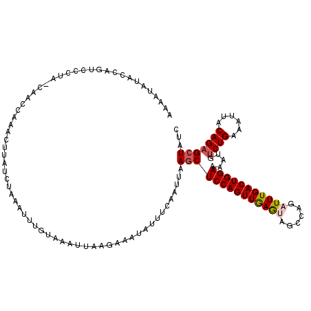 secondary structure
