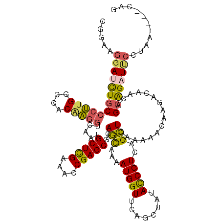 secondary structure