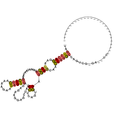 secondary structure