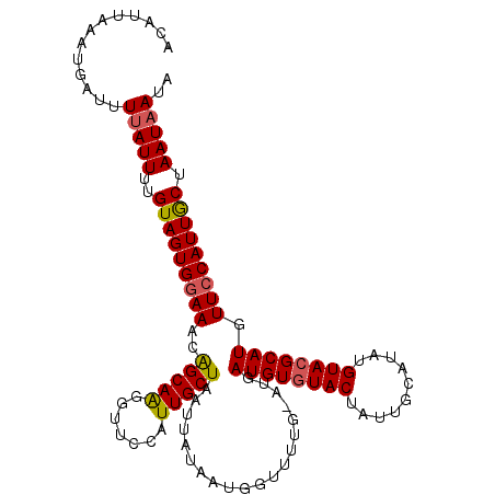 secondary structure