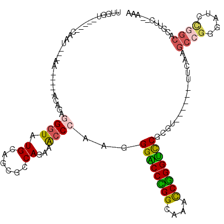 secondary structure