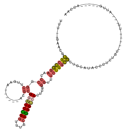 secondary structure