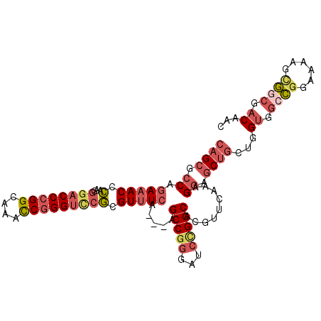 secondary structure