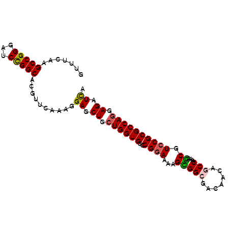 secondary structure
