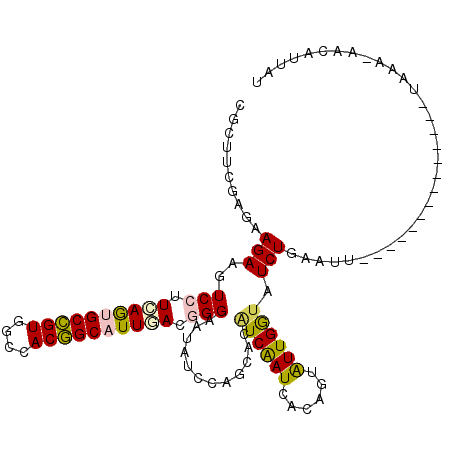secondary structure