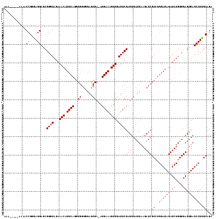 dotplot