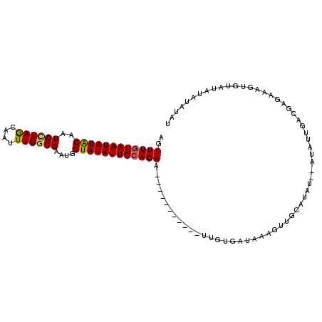 secondary structure