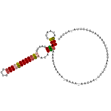 secondary structure