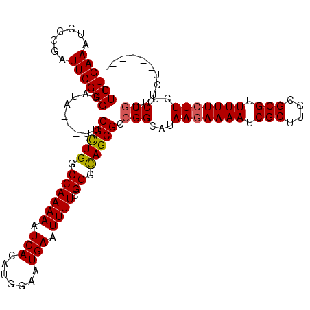 secondary structure