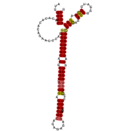 secondary structure