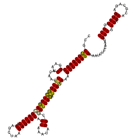 secondary structure