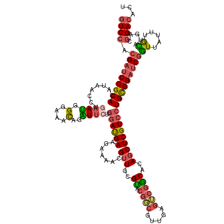 secondary structure