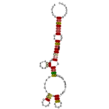secondary structure