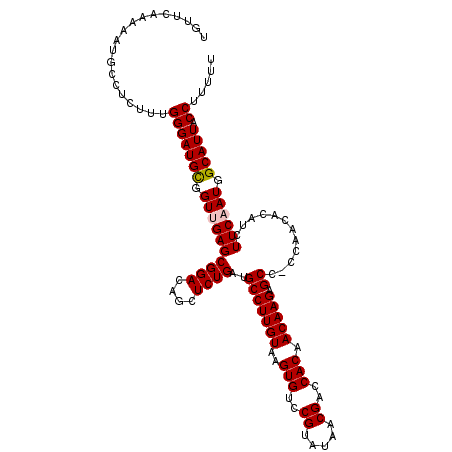 secondary structure