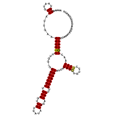 secondary structure