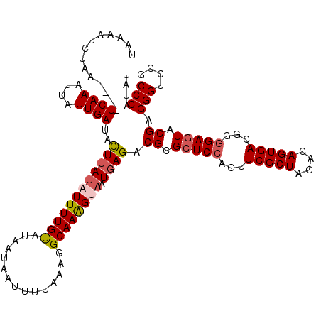 secondary structure