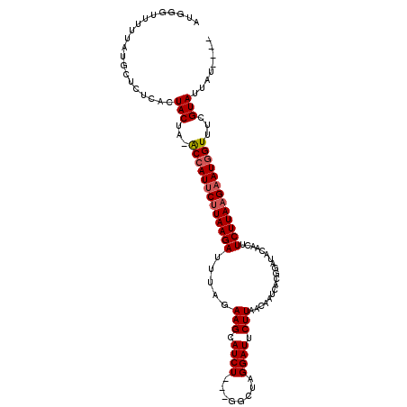 secondary structure