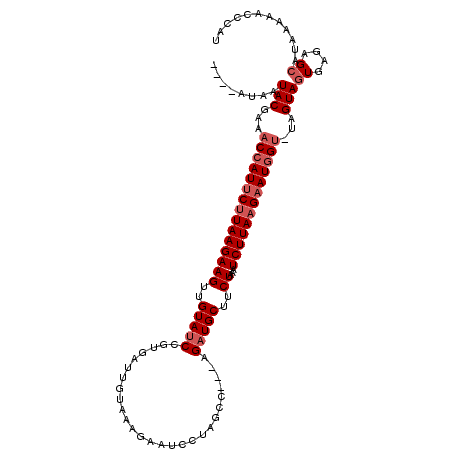 secondary structure