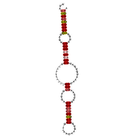secondary structure