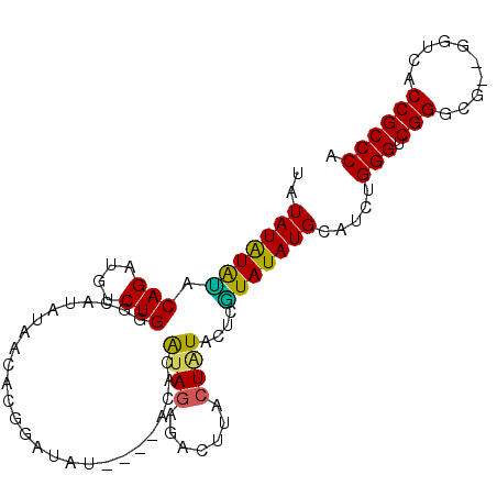 secondary structure