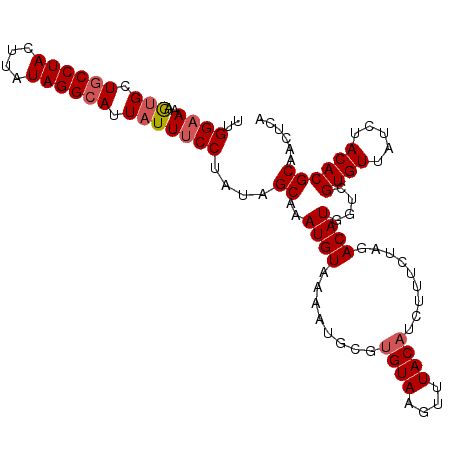 secondary structure