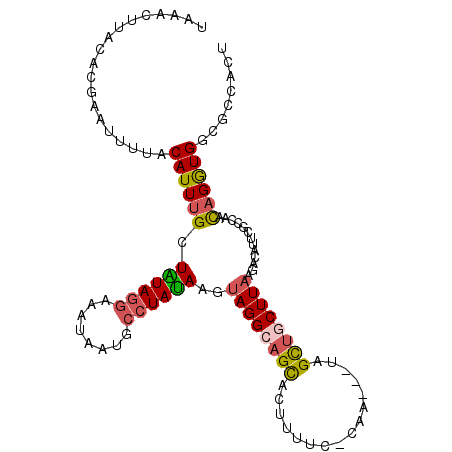 secondary structure