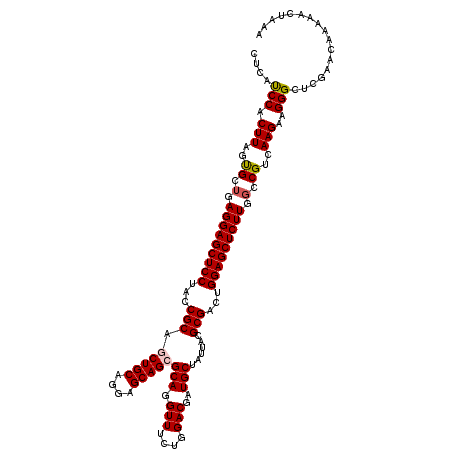 secondary structure