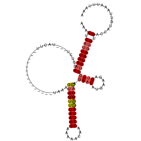 secondary structure