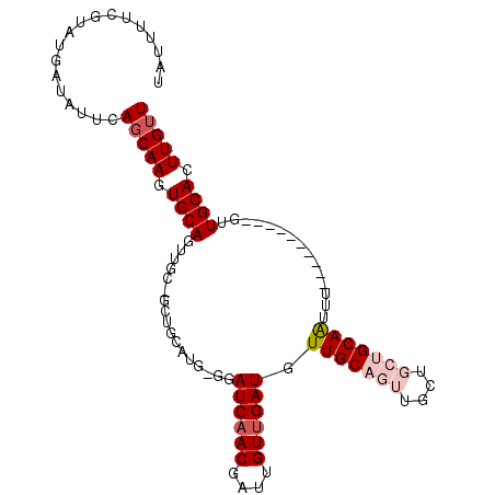 secondary structure