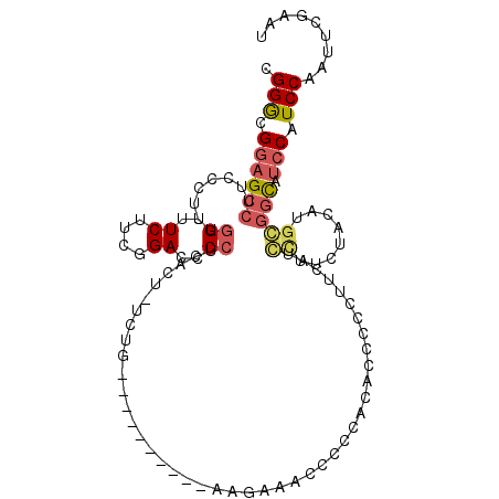 secondary structure