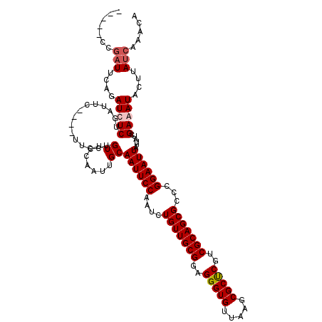 secondary structure