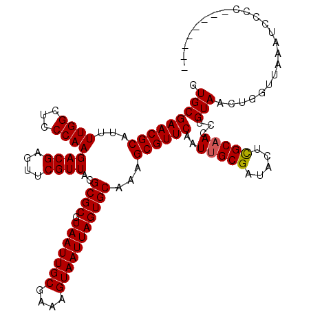 secondary structure