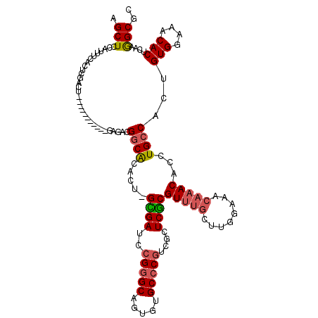 secondary structure