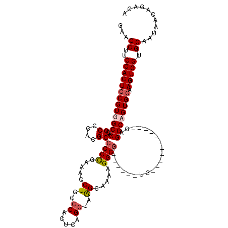 secondary structure