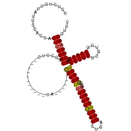 secondary structure