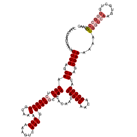 secondary structure