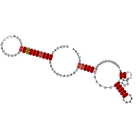 secondary structure