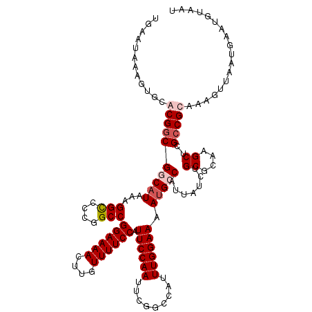 secondary structure