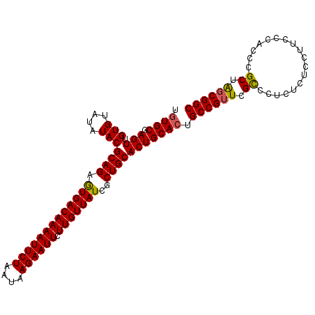 secondary structure
