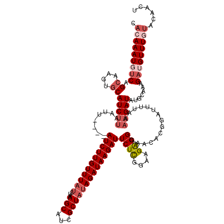 secondary structure